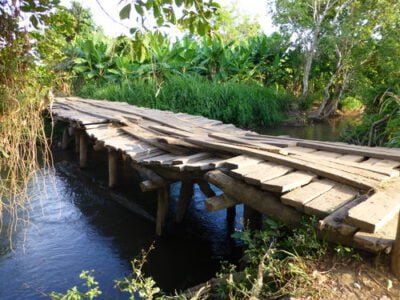 Tanzania Kokoa Kamili BIO 1kg surowe ziarna kakaowca - Image 9