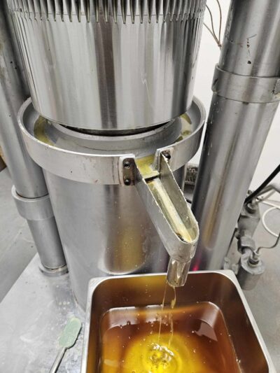 White chocolate 40% Dominican Hispaniola BIO - Image 4