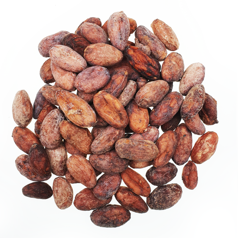 ziarno-kakaowca-tumaco Kolumbia Tumaco surowe ziarno kakao