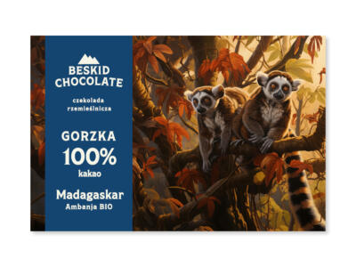 Dark chocolate 100% Madagascar Ambanja Superior BIO 100%