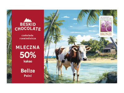 belize_dm_mock1